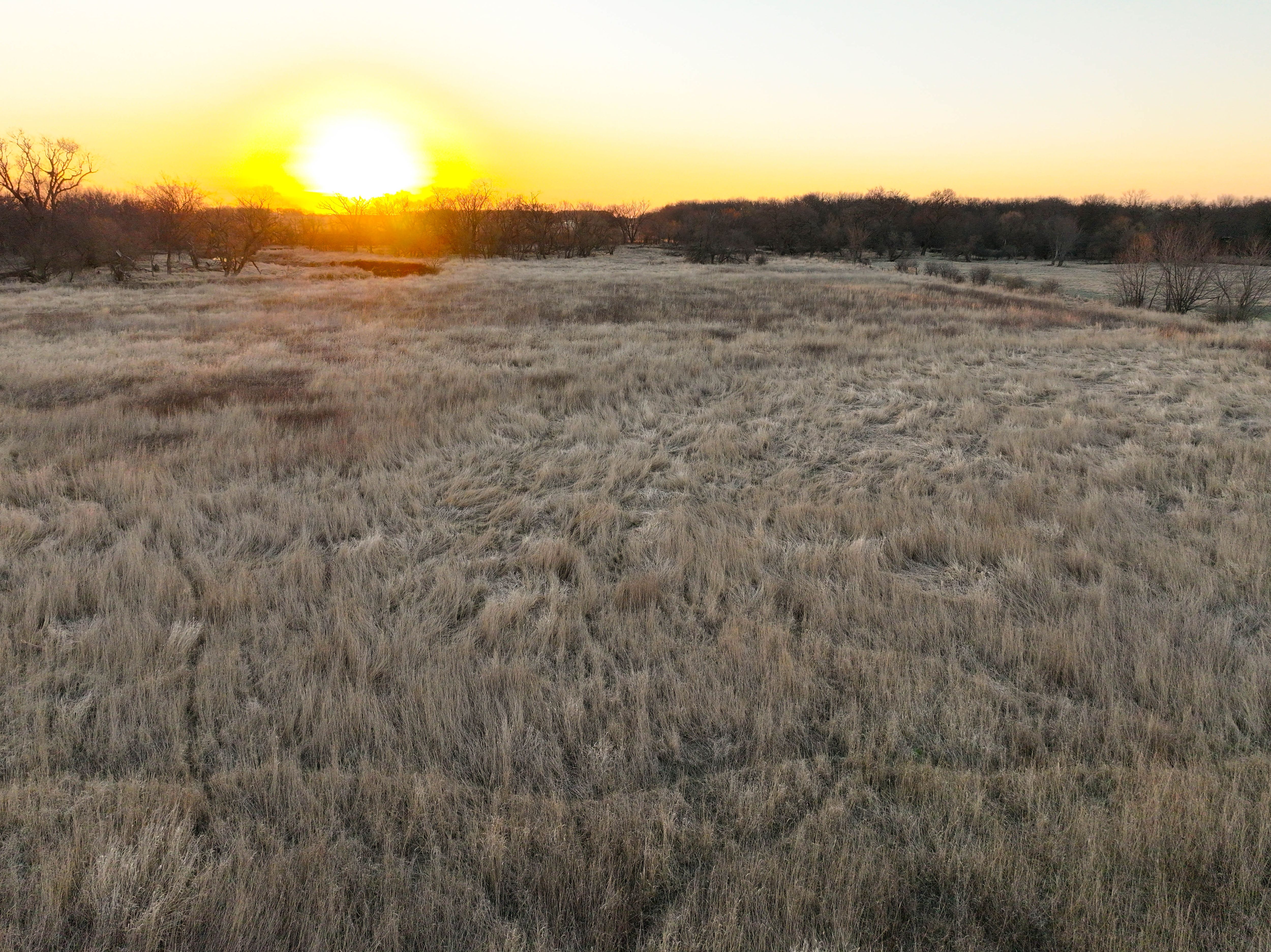 Listing Photo: 35_NE Iowa Recreational Farm CRP